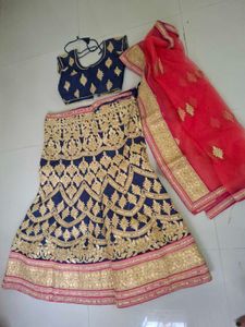 Navy Blue Lehenga Choli with Gold Embroidery