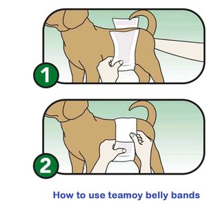 TeamoyReusable Male Dog Belly Bands/WrapDiapers