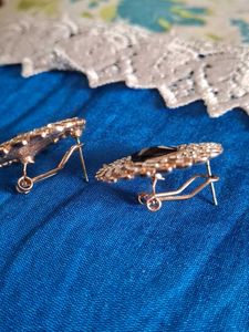 Stunning earrings