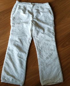 Chikankari Pant/Bottom/Salwar