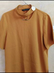 ZARA Woman Stylish Top