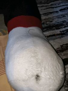 Large White Teddy Bear