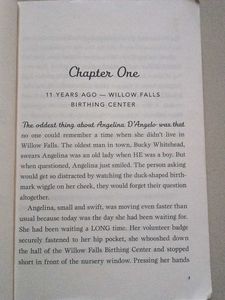 11 Birthdays by Wendy Mass