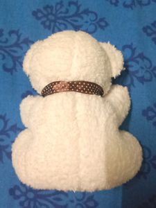 Cute Little Taddy