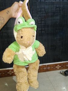Build a Bear Rabbit with clothes