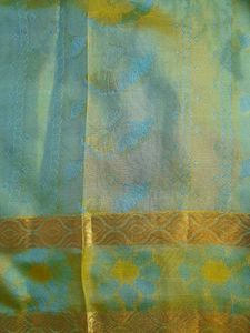 Grand Silk Saree with Contrast Blouse