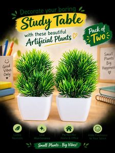 pack Of 2 artificial plants must read description