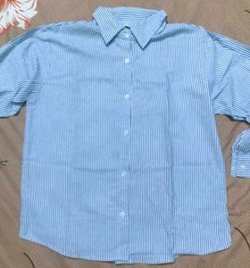 Classic Blue Striped Button-Down Shirt