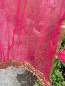 Vibrant Pink Dupatta with Golden Border