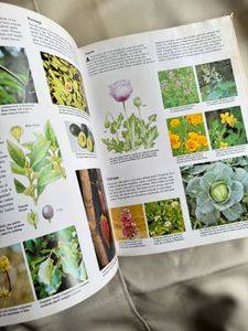 Children's Treasury of Knowledge: Plants