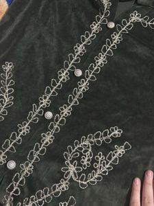 Vintage Velvet Embroidered Dress