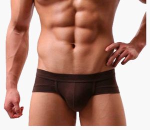 Men's Brown Briefs