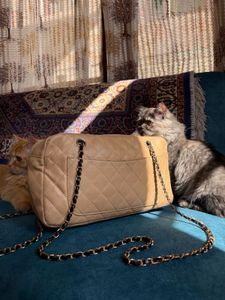 Chanel Quilted Bag