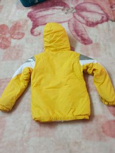 Yellow Jacket
