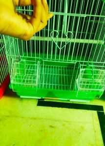 Cage Pijara