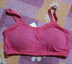 Rose Pink Bra