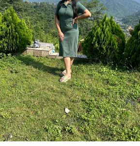 Stylish Green Polo Dress