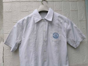 New with tag Korean White Button-Up Crop Top