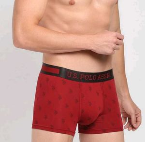 U.S. Polo Assn. Maroon Boxer Briefs