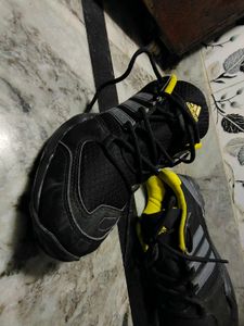 Adidas Zetroi Sport Shoes - Lace Up