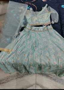 Sparkling Pastel Lehenga Set / dress