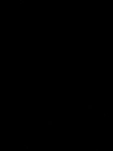 Flag5