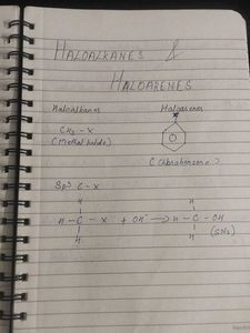 Class 12 Organic Chemistry Notes