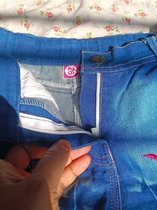 Denim Skirt with Embroidery