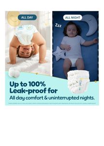 Pampers Premium Care XL 36 Pants