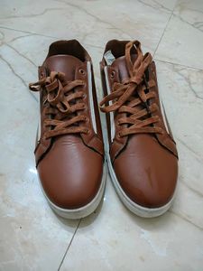 Brand New Brown Sneakers