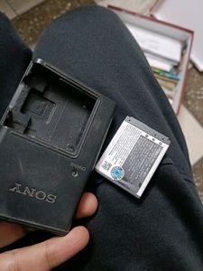 Sony Battery Charger