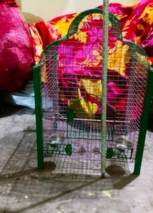 Birds Cage ( Pijara)