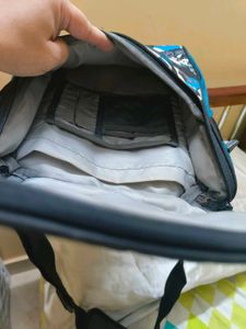 Wildcraft Sling Bag