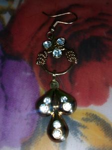Beautiful Golden Earring