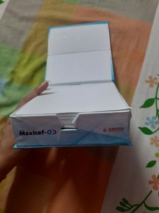 Slips With Slip Holder