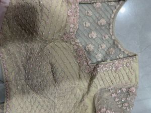Designer Ethnic saree and Blouse