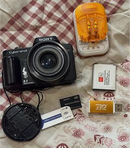 Sony Cyber-shot DSC H10