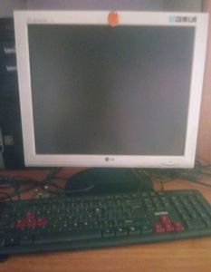 Computer 19" LCD