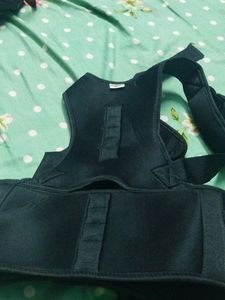 Back Support Belt