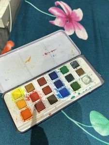 CAMLIN WATER COLOURS WITH 2 FREE BRUSHES