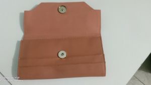 Baggit Brand GG