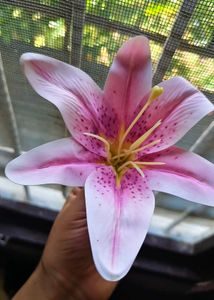 flower hair clip