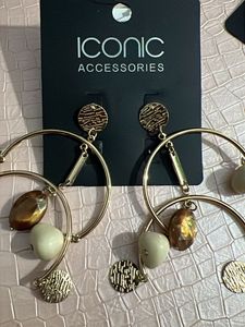 Iconic Accessories Hoop Earrings