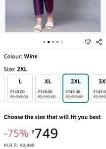 Elegant Kurta Set xxl