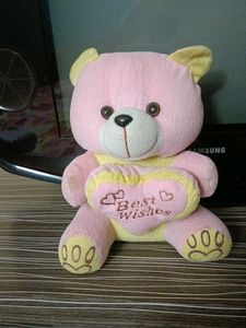 Plush Teddy Bear