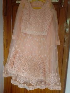 Elegant Peach Embroidered Lehenga Choli