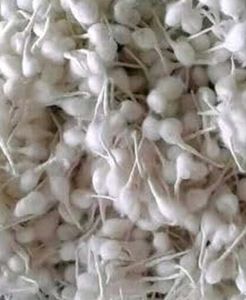 Cotton Wicks for Diya