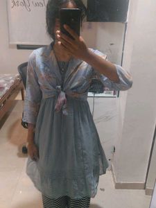 Stylish Printed dress