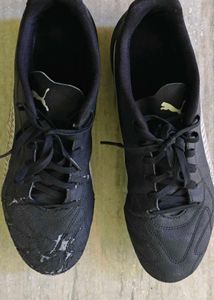 Puma Soccer Cleats