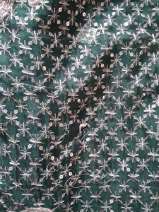 Never Used Organza Elegant Sequin Work Saree